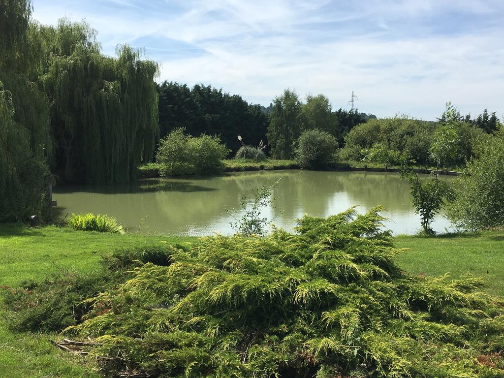 Gites - Domaine De Geffosse Pont-Évêque Kültér fotó